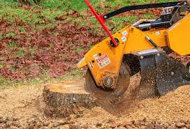 Lawn Irrigation Installation and Maintenance in Northlake, TX
